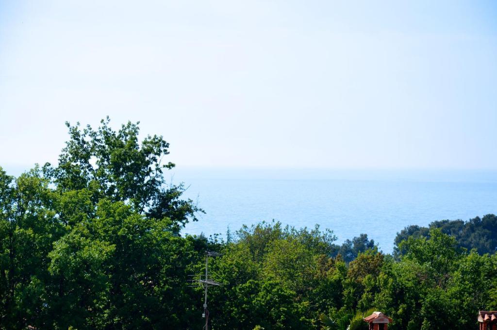 House Maric Apartment Porec Room photo
